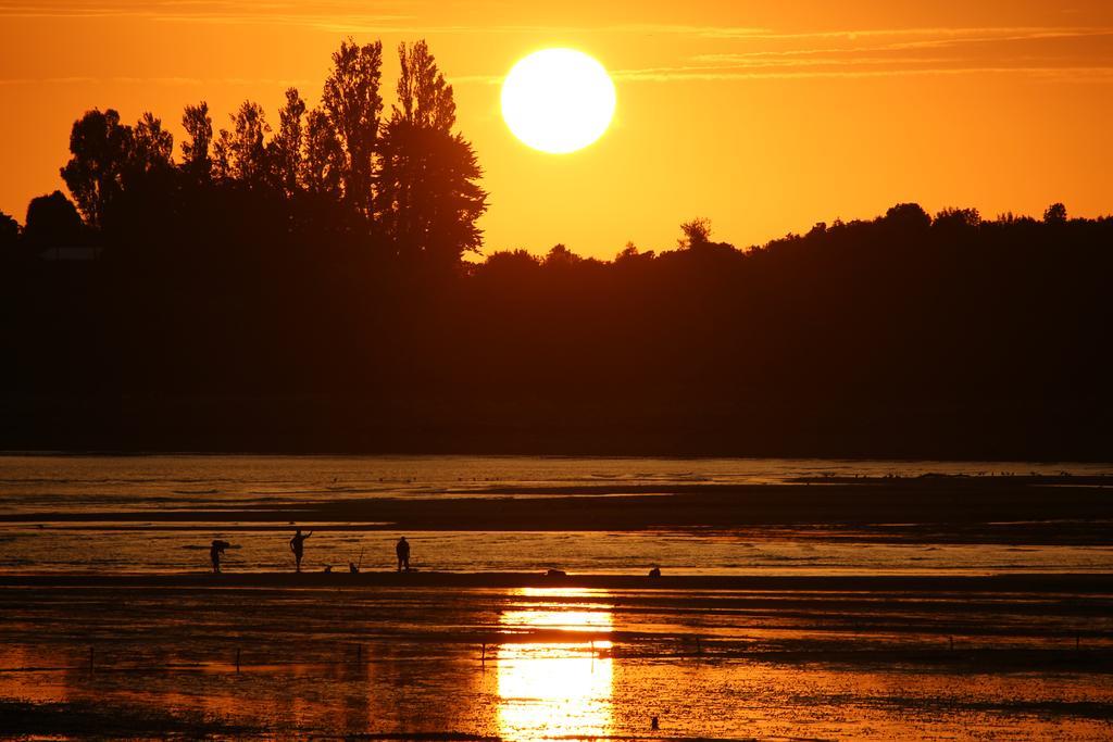 Cabanas Rincon Austral Puerto Montt Eksteriør bilde